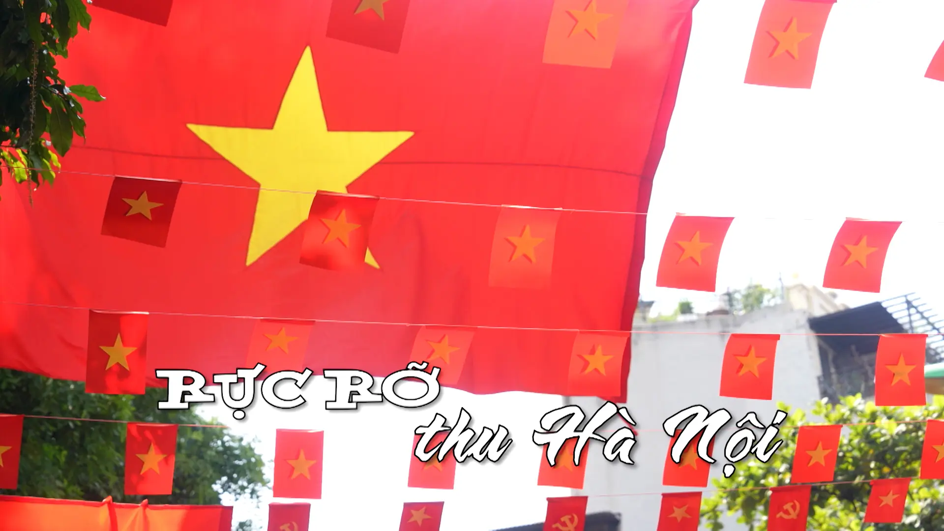 Rực rỡ thu Hà Nội | Nhịp sống Hà Nội | 28/08/2025